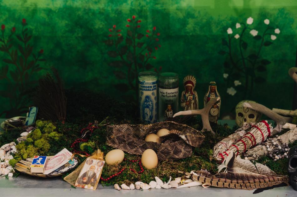 A photograph shows a shelf of objects including eggs, a snake, skulls, antlers, candels, and cards. The background is a dark green with painted vines of red, pink, and white flowers.
