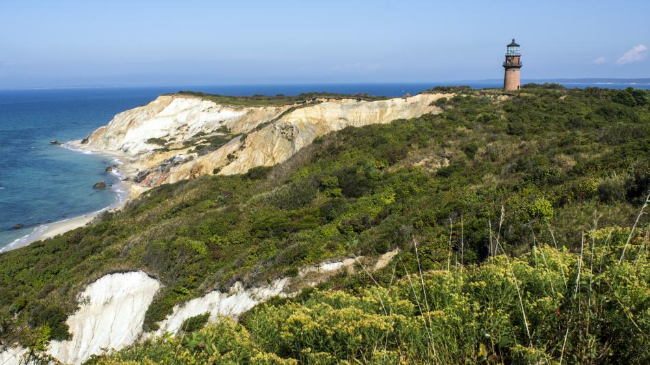 A photograph of a cliff of green grass and bushes that extend out towards a point into the ocean. To the right in the distance is a white lighthouse.