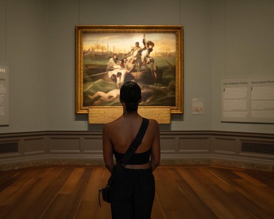 A woman stands with her back to us facing John Singleton Copley's large painting Watson & the Shark in a dramatically lit roo